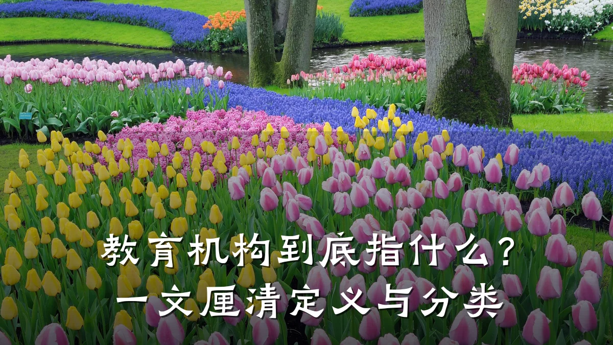 教育机构到底指什么?一文厘清定义与分类